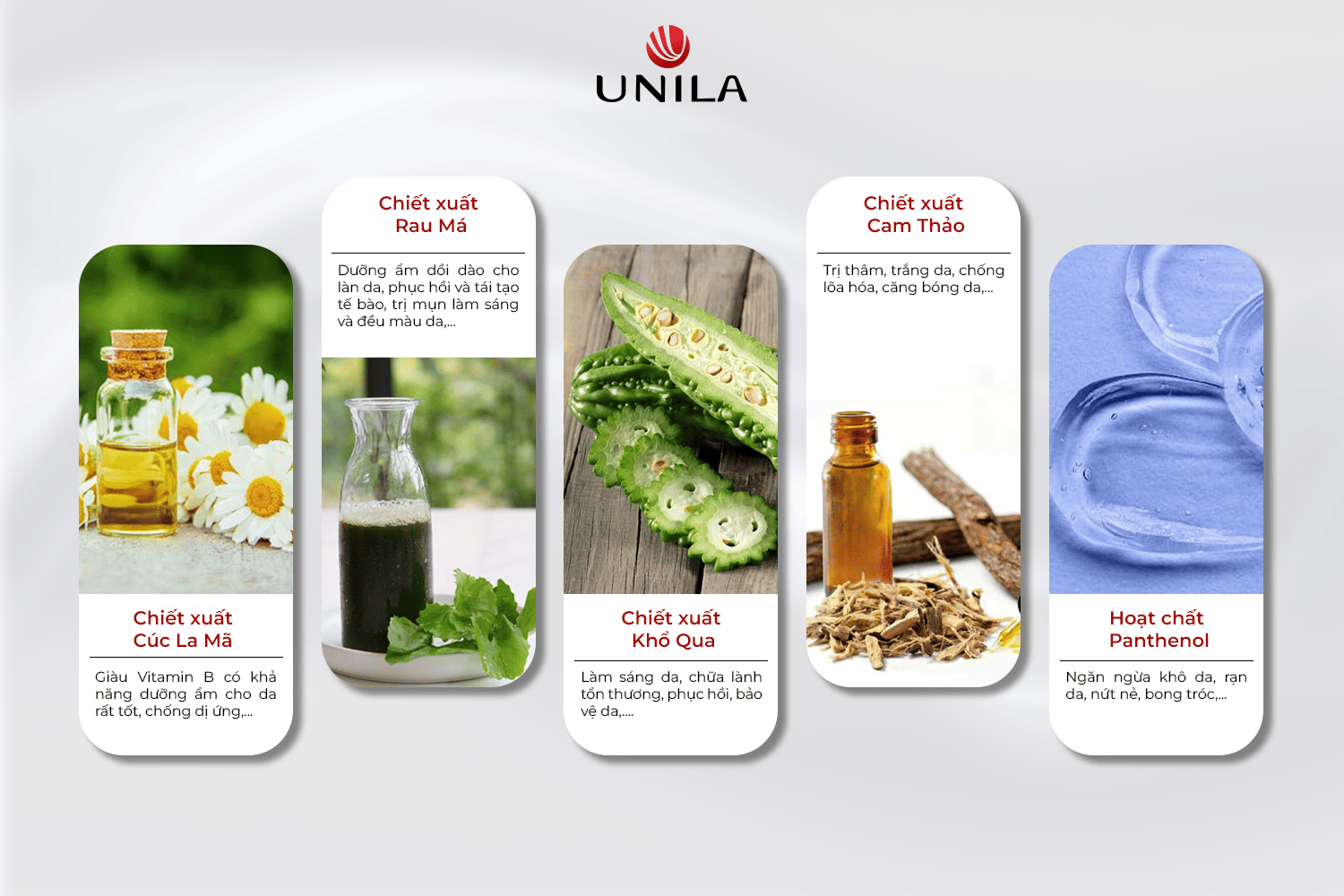 Nước Tẩy Trang Unila Việt Nam Thành Phần