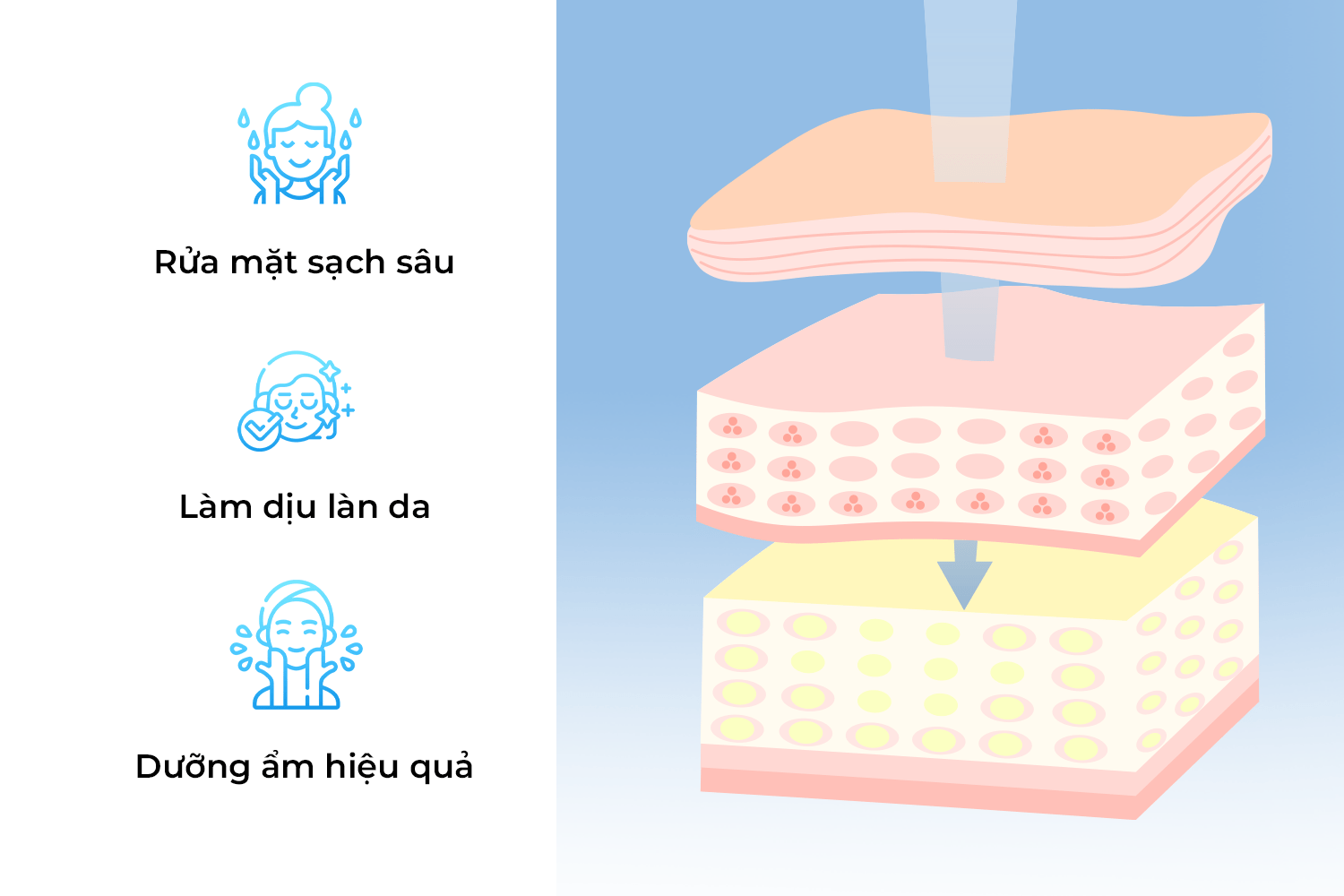 Sữa Rửa Mặt Tạo Bọt Unila Công dụng