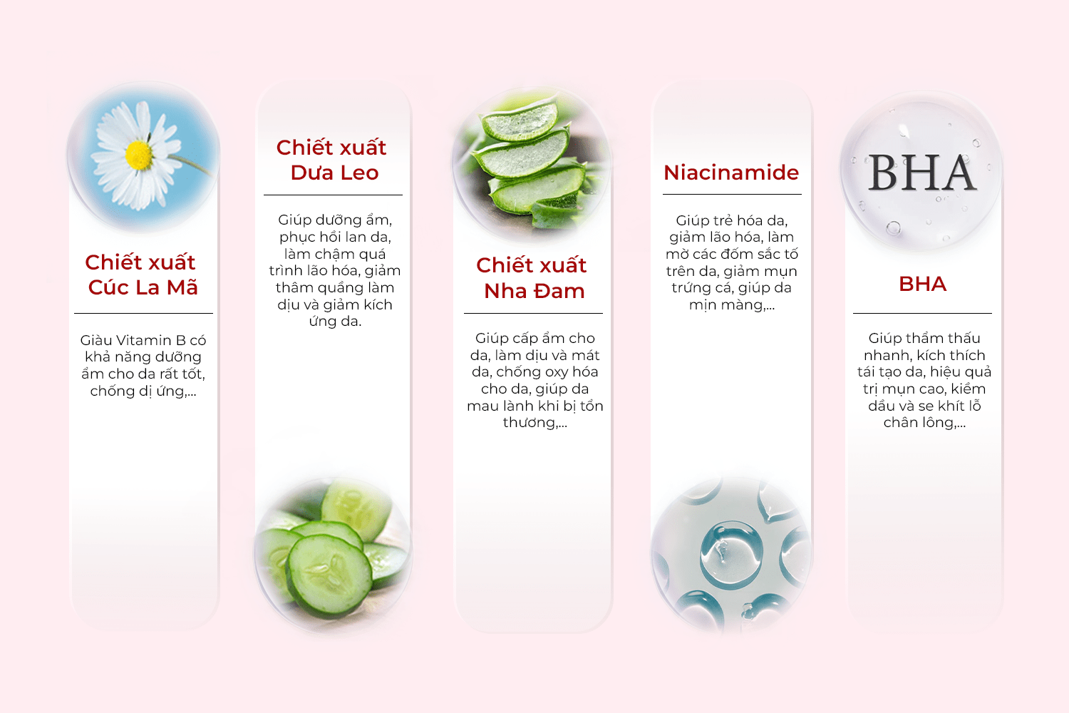 Gia công Sữa Rửa Mặt Dạng Gel Thành phần