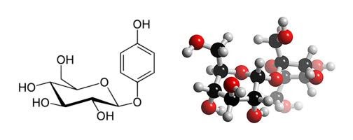 Hoạt chất Alpha Arbutin - UNILA Việt Nam