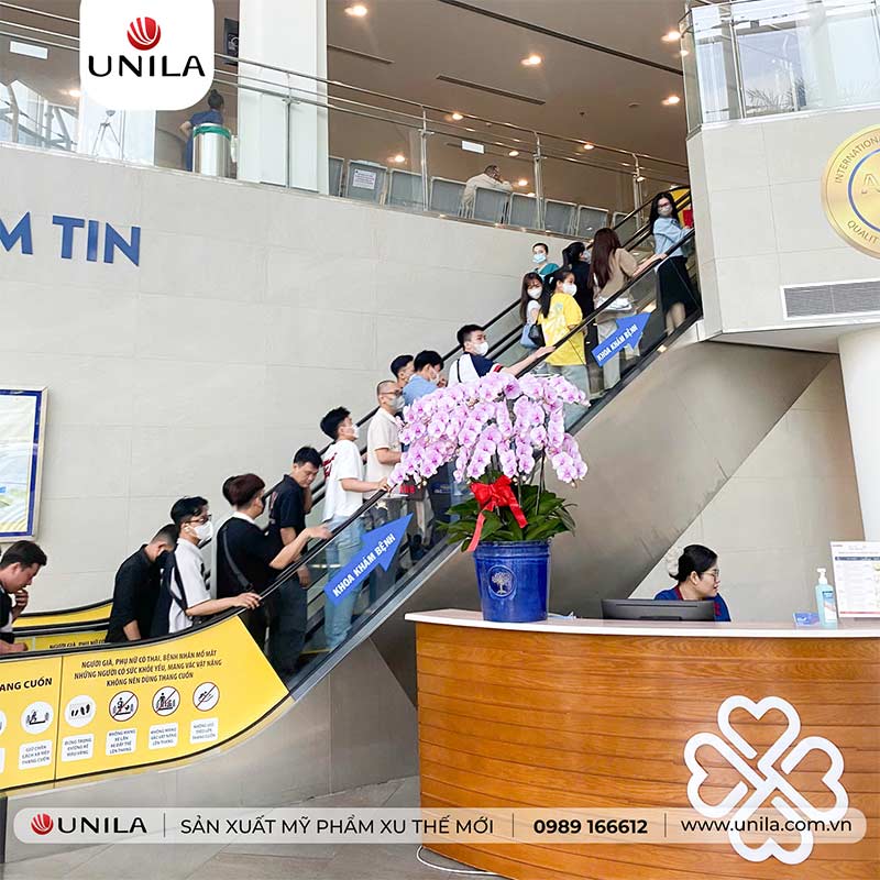 hoạt động công ty khám sức khỏe 1