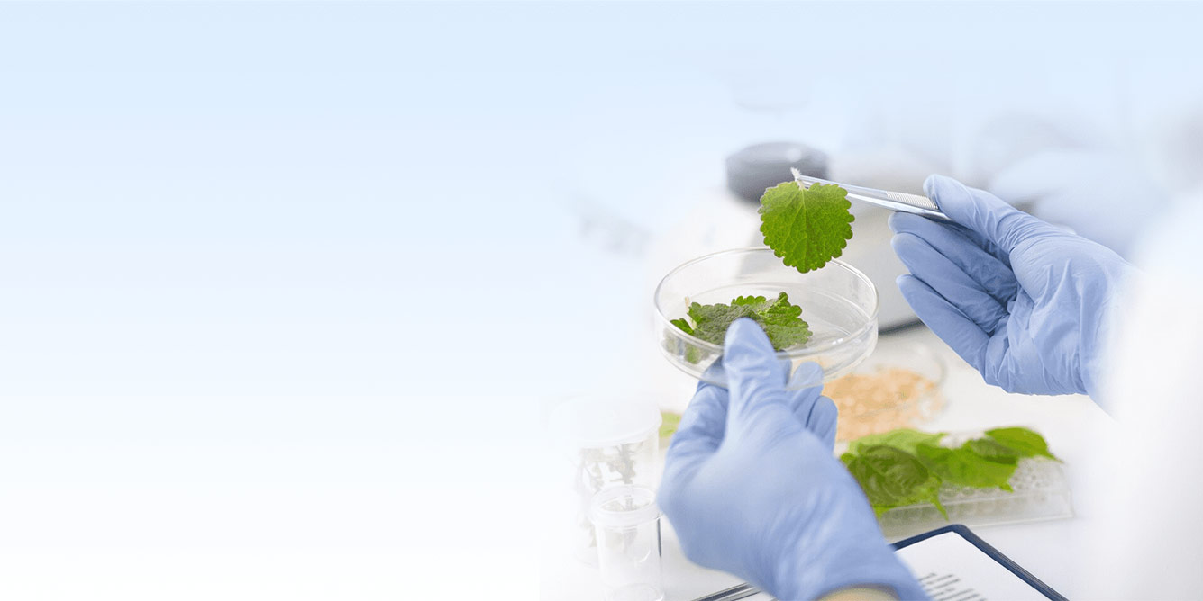 SẢN XUẤT MỸ PHẨM SẠCH TIÊU CHUẨN TẠI VIỆT NAM