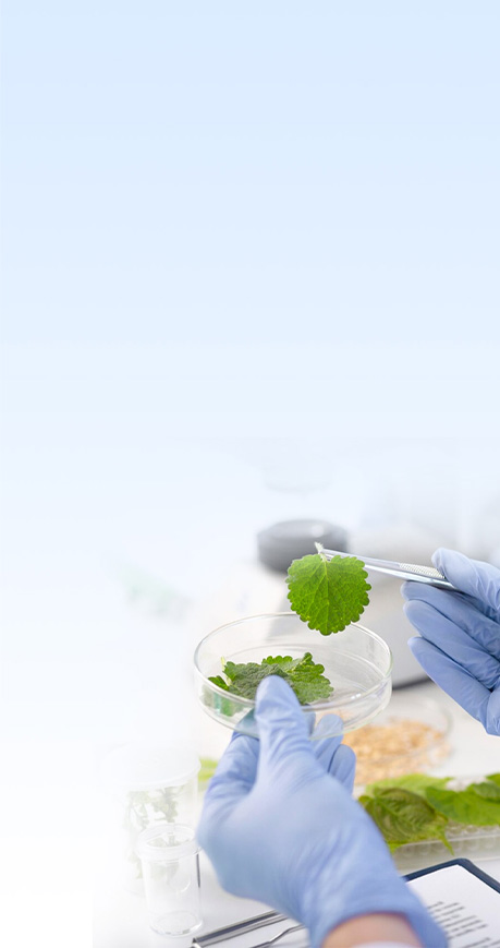 nguyên liệu gia công mỹ phẩm