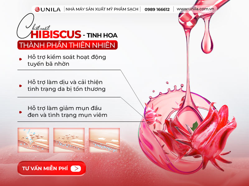 Thành phần thiên nhiên - Chiết xuất Hibiscus - Nhà máy sản xuất mỹ phẩm UNILA