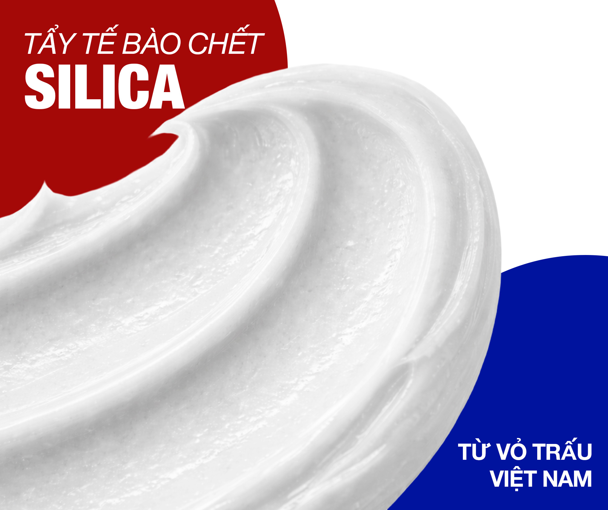 TẨY TẾ BÀO CHẾT SILICA